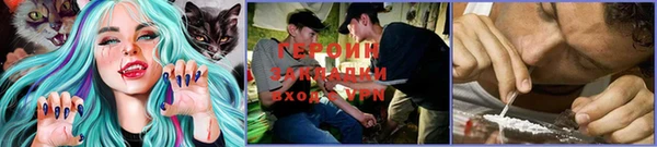 ПСИЛОЦИБИНОВЫЕ ГРИБЫ Волосово