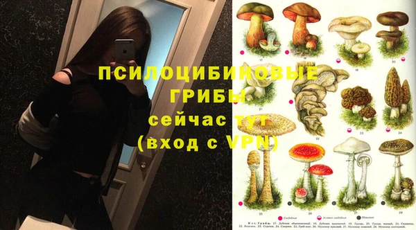 ПСИЛОЦИБИНОВЫЕ ГРИБЫ Волосово
